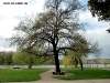 cimg0387