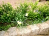 cimg0401